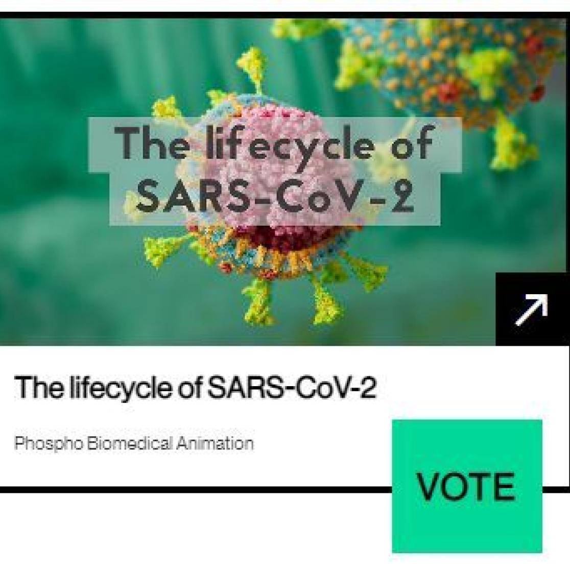 Webby Award nominee