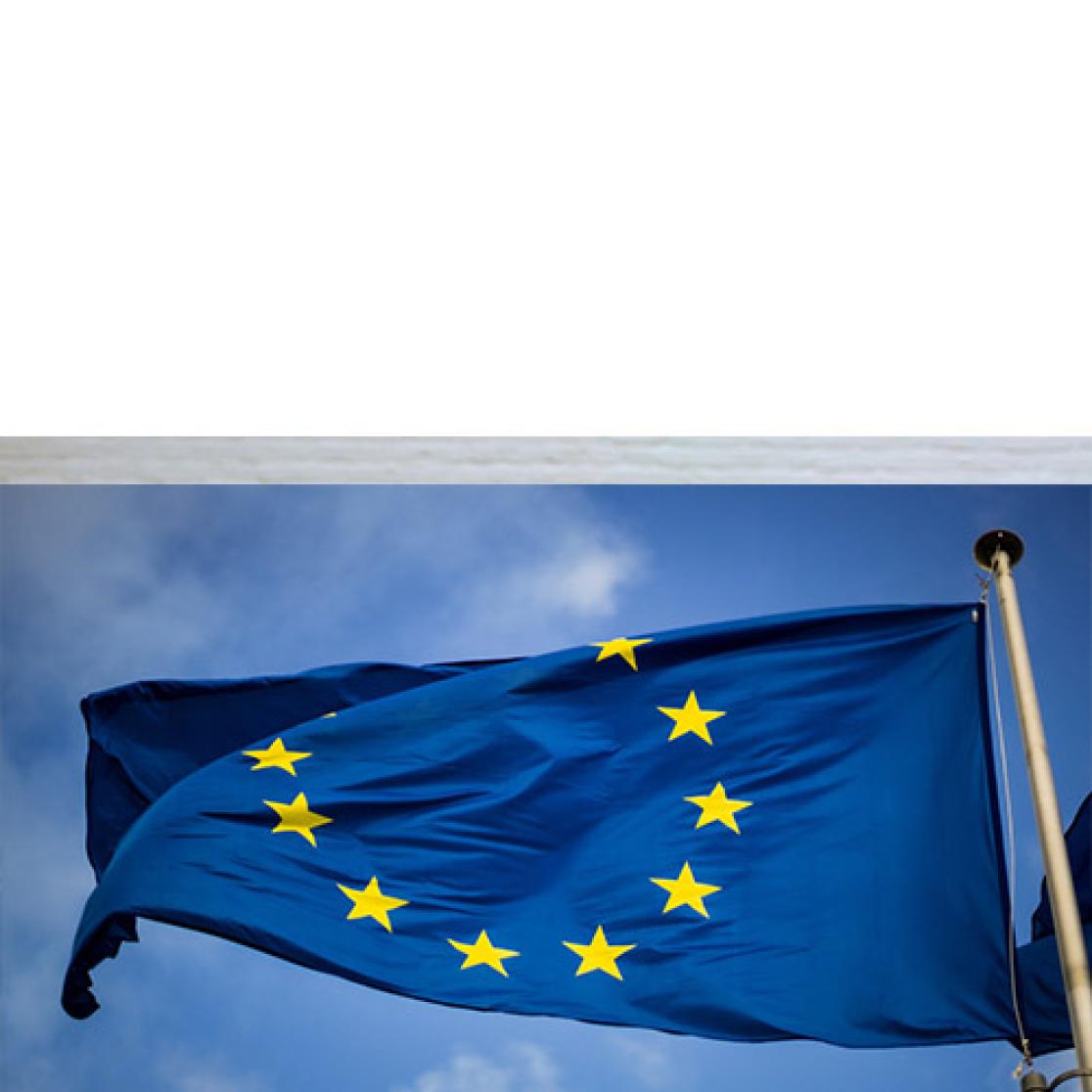 Europese vlag