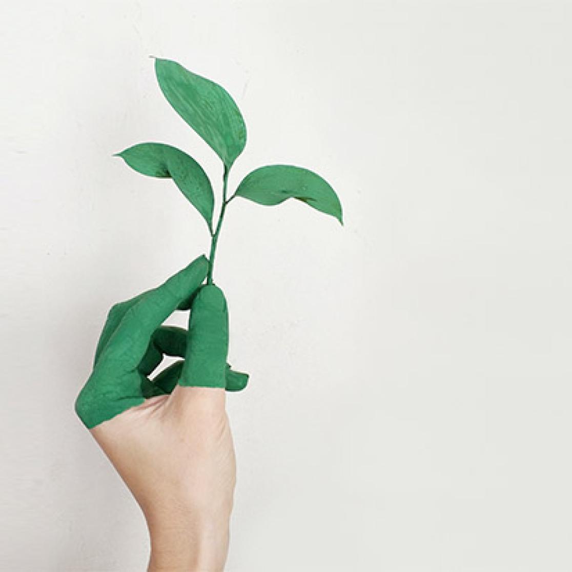 Fossil Free