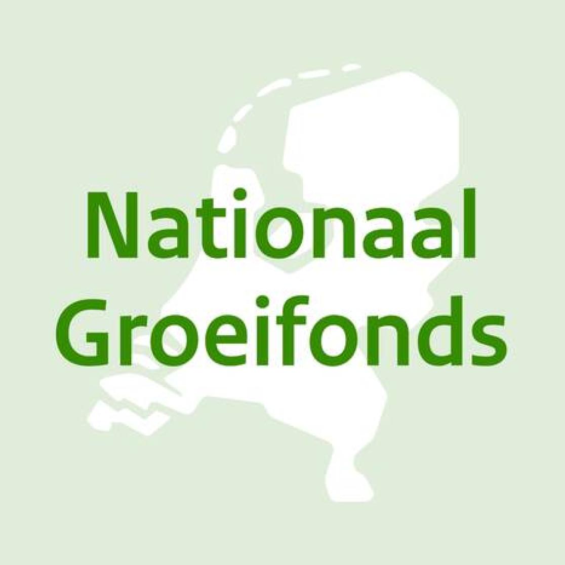 Nationaal Groeifonds