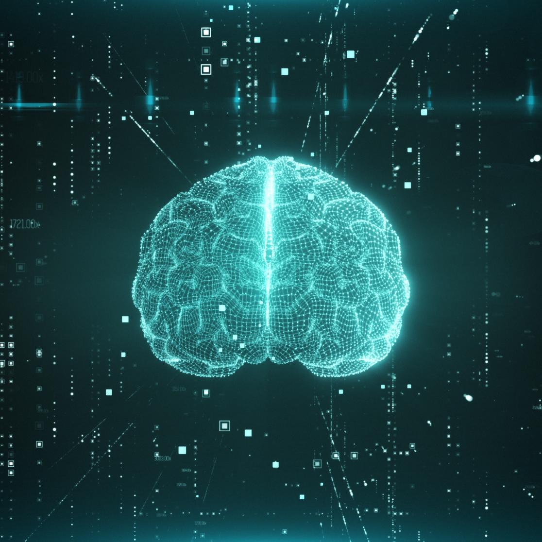 Brain Science