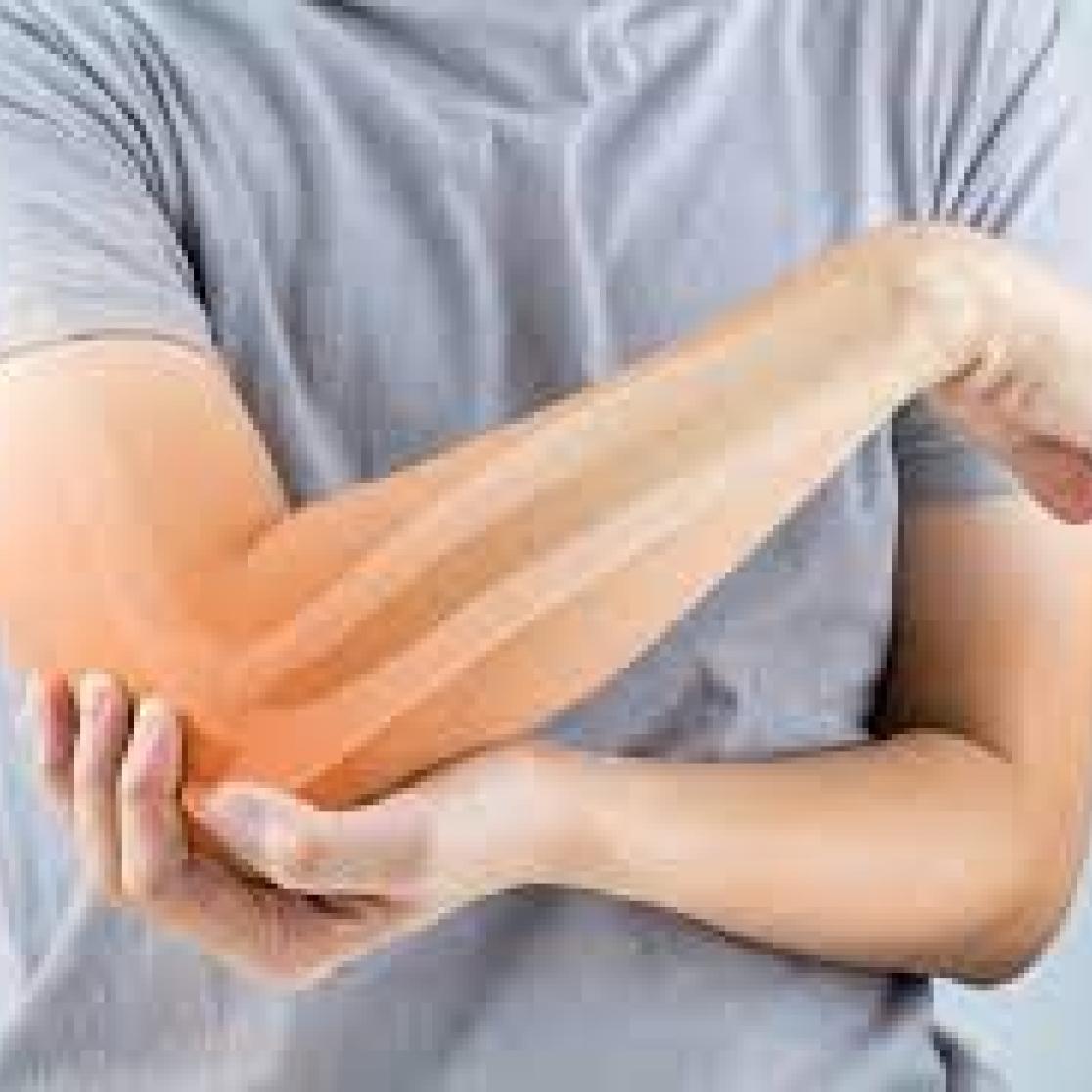 regenerating bone fracture