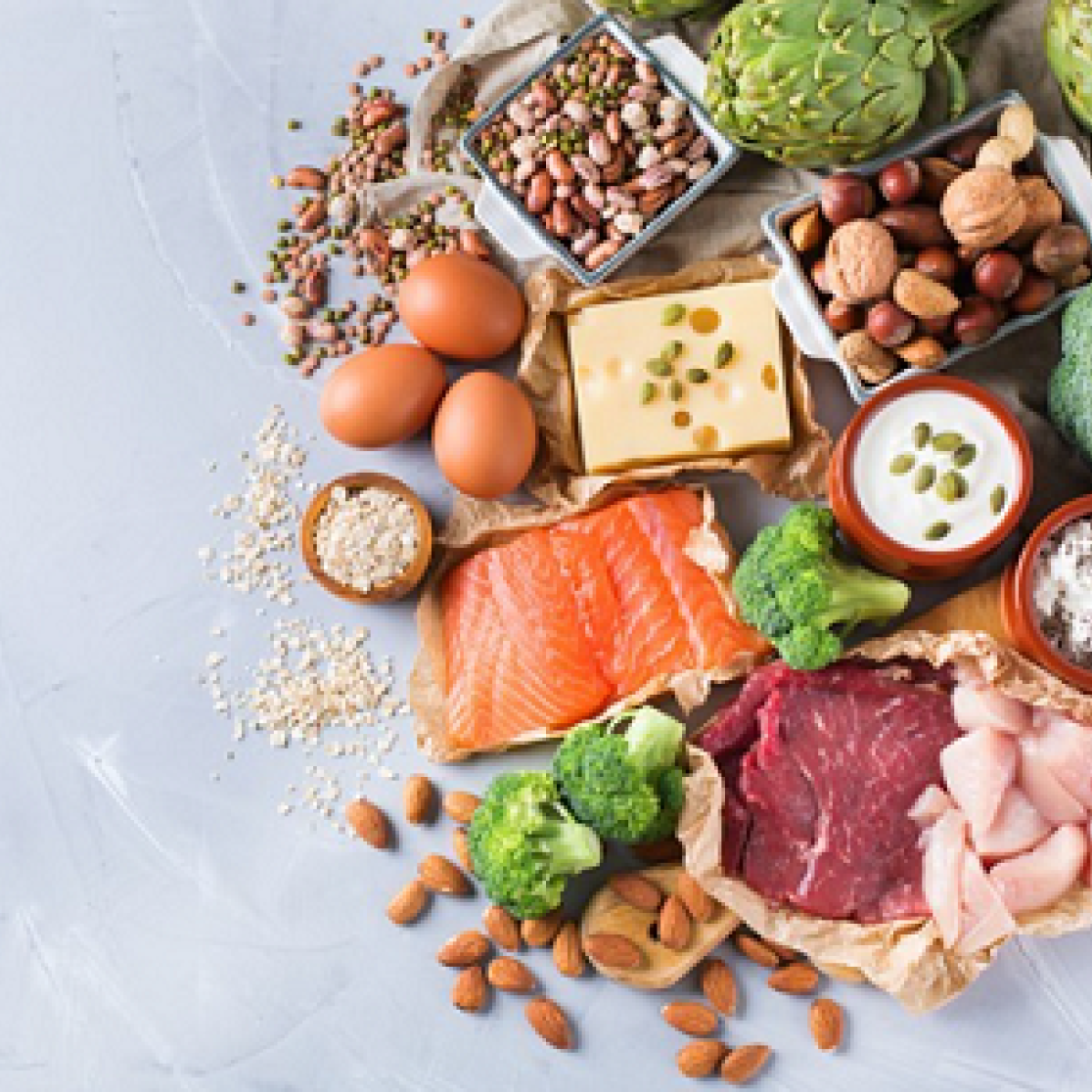 muscles and plant or meat based food