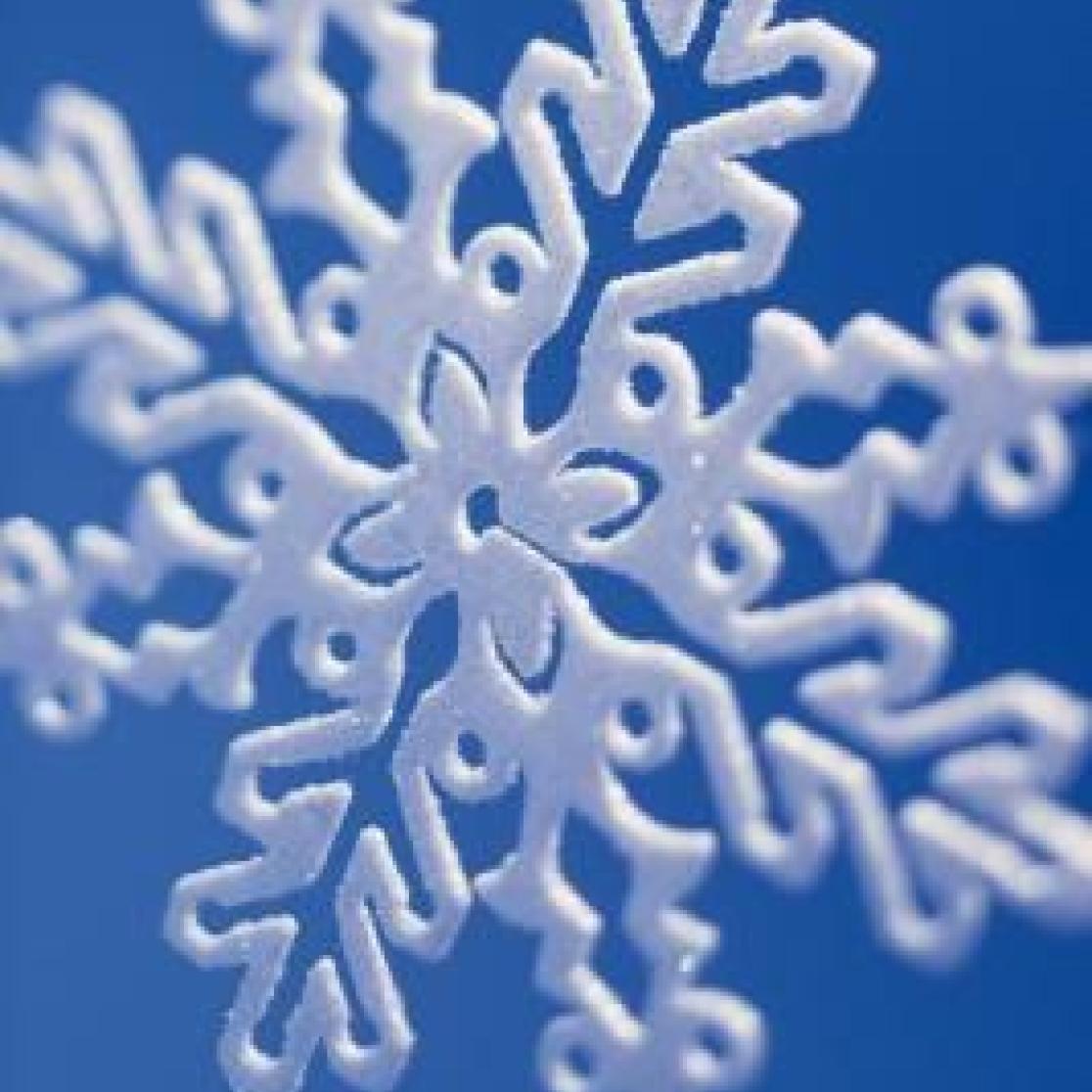 NUTRIM newsletter winter