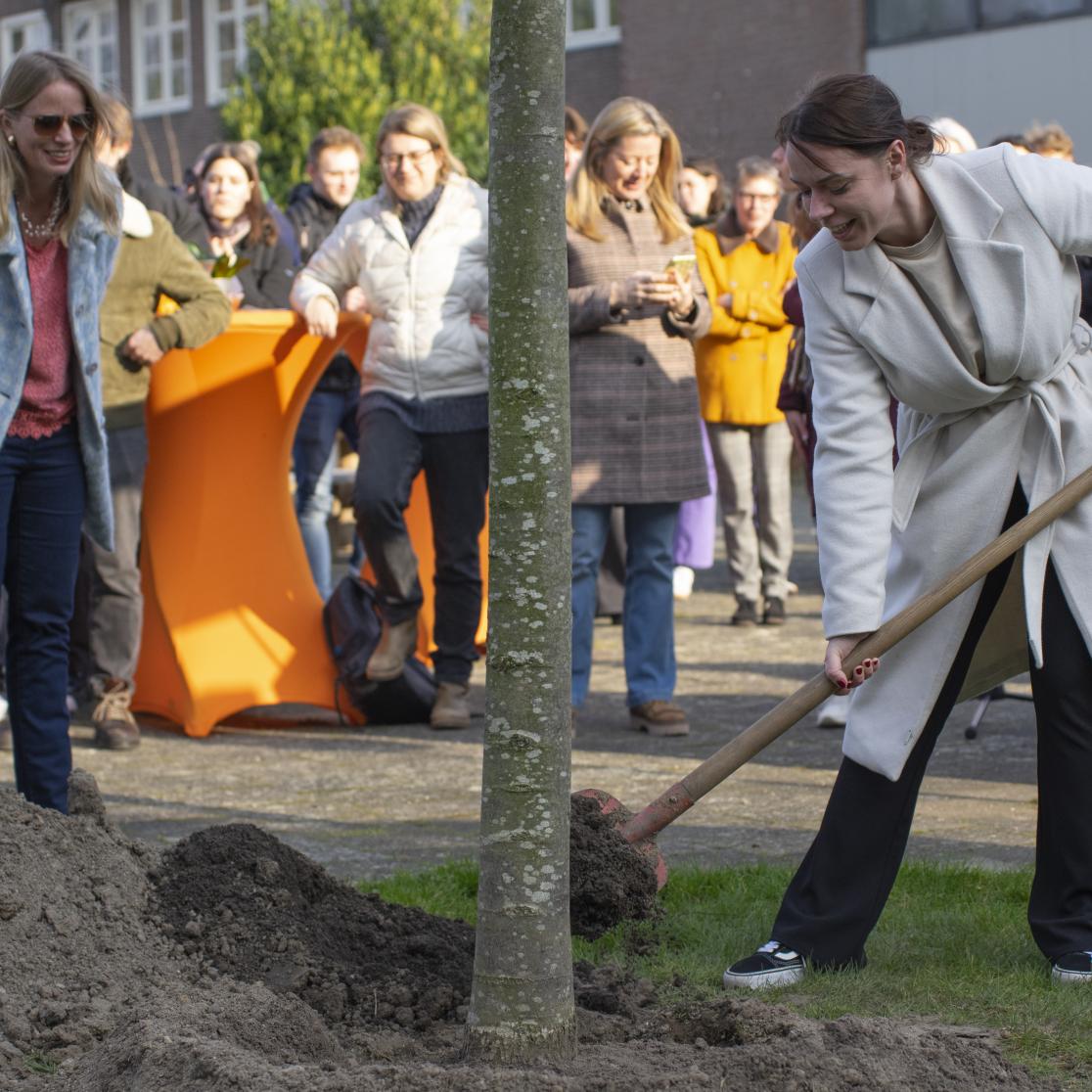 Fasos boom planten