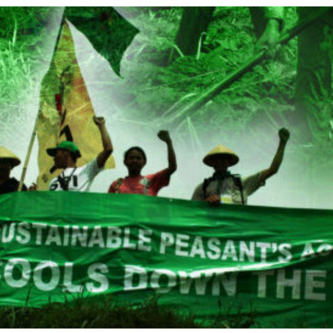 La Via Campesina: Small Scale farmers cooling down the Earth 