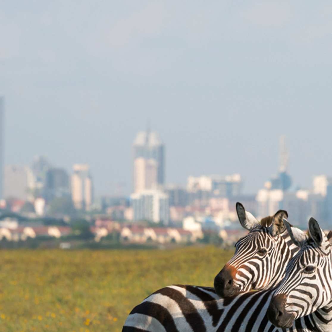 Picture of Nairobi