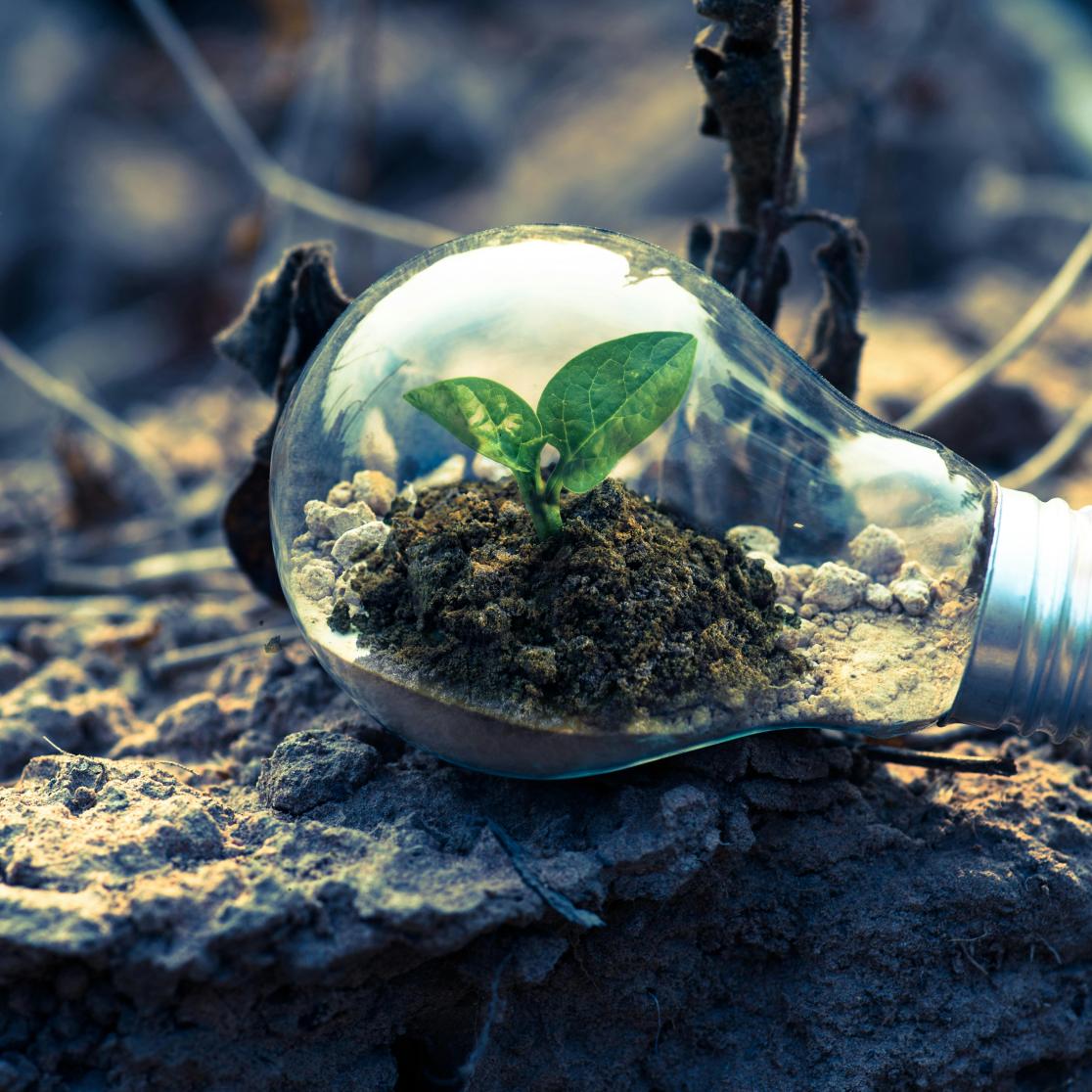 Environmental Law Lectures series