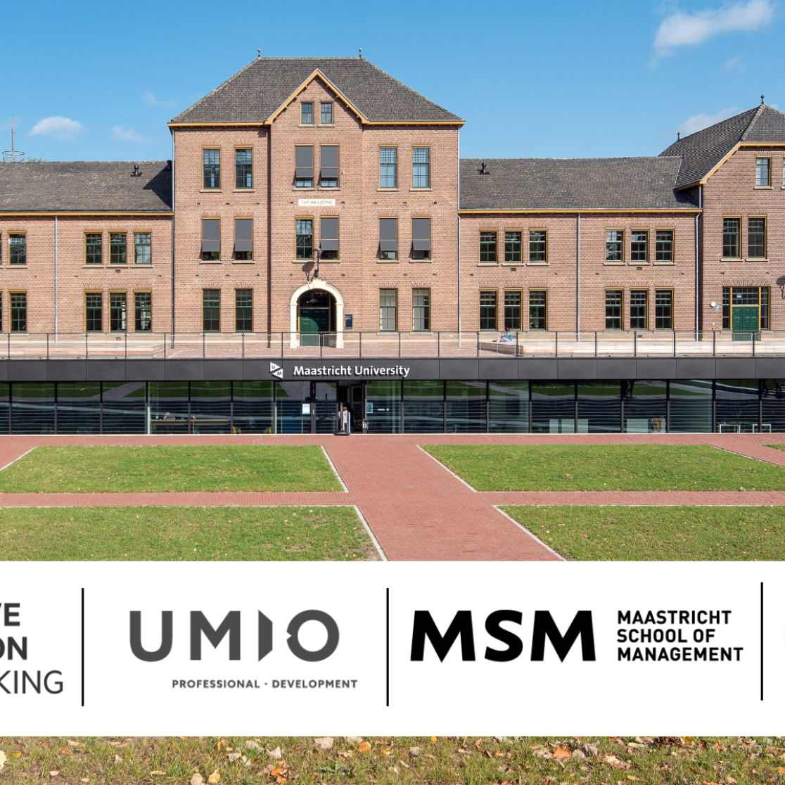 UNU Merit - FT - MSM and UMIO