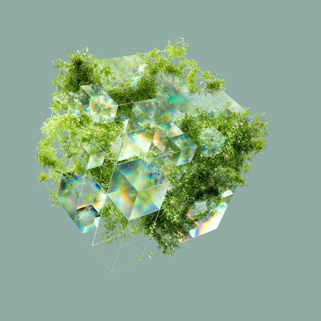 Climate