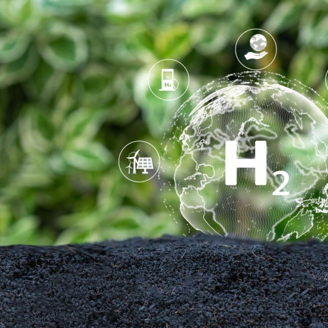 Green hydrogen policy research project