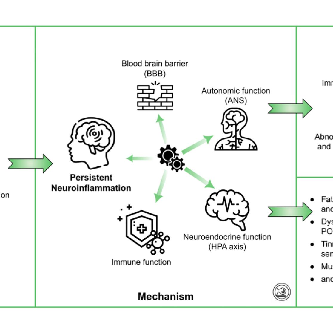 graphical overview of post covid study