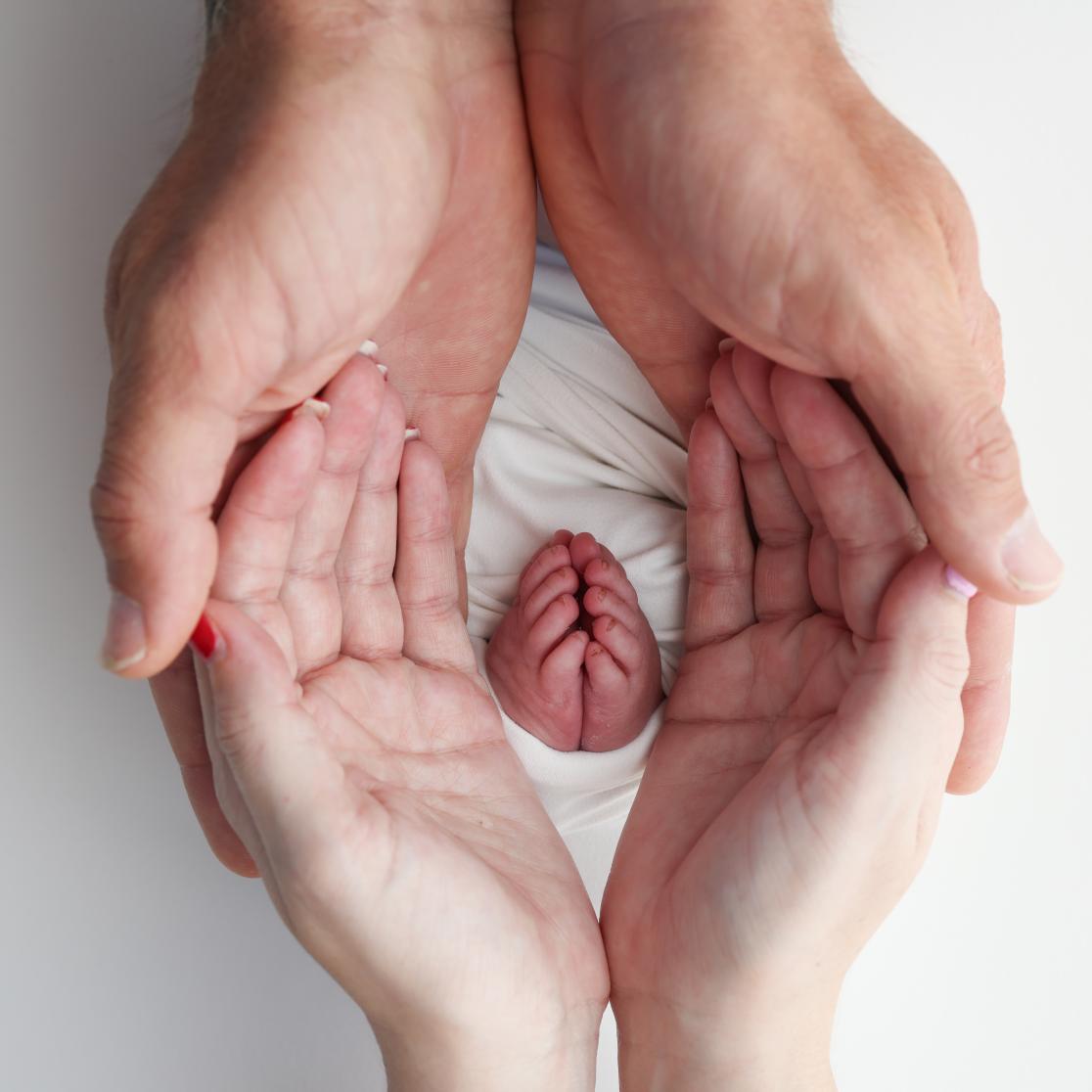 Hands of parents and baby