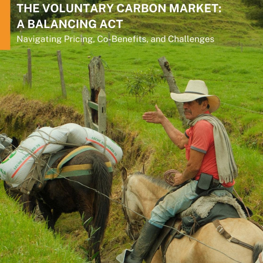 Smallholder Farmers and the VCM - A Balancing Act