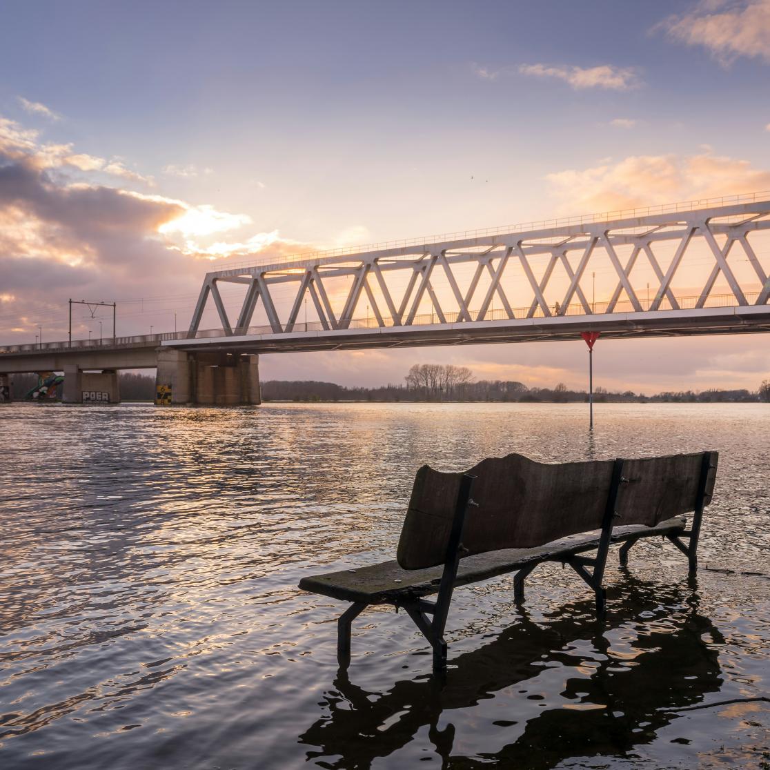 Are Dutch Social Housing Institutions Ready for Rising Flood Risks?