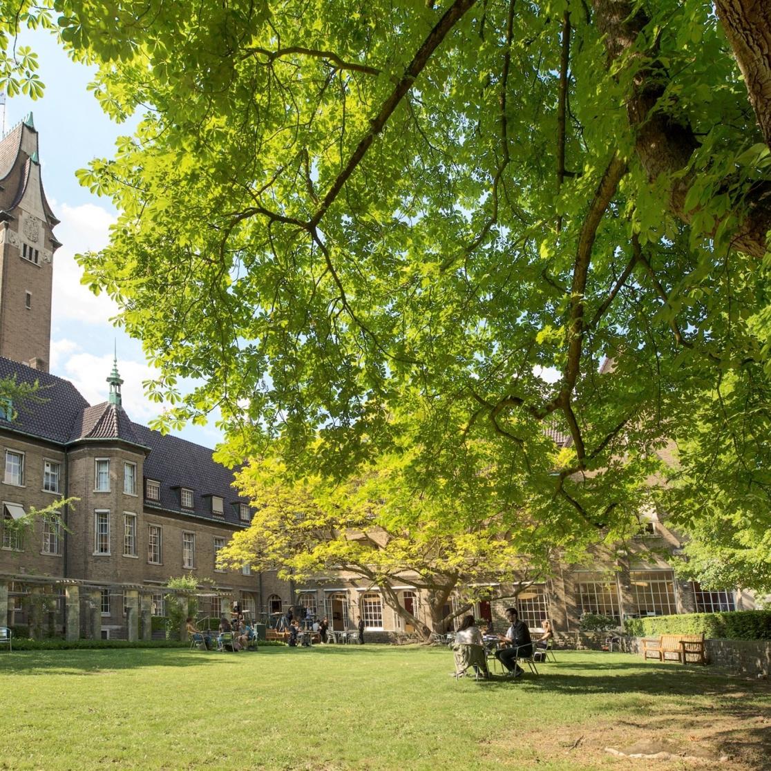 Faculty of Law garden
