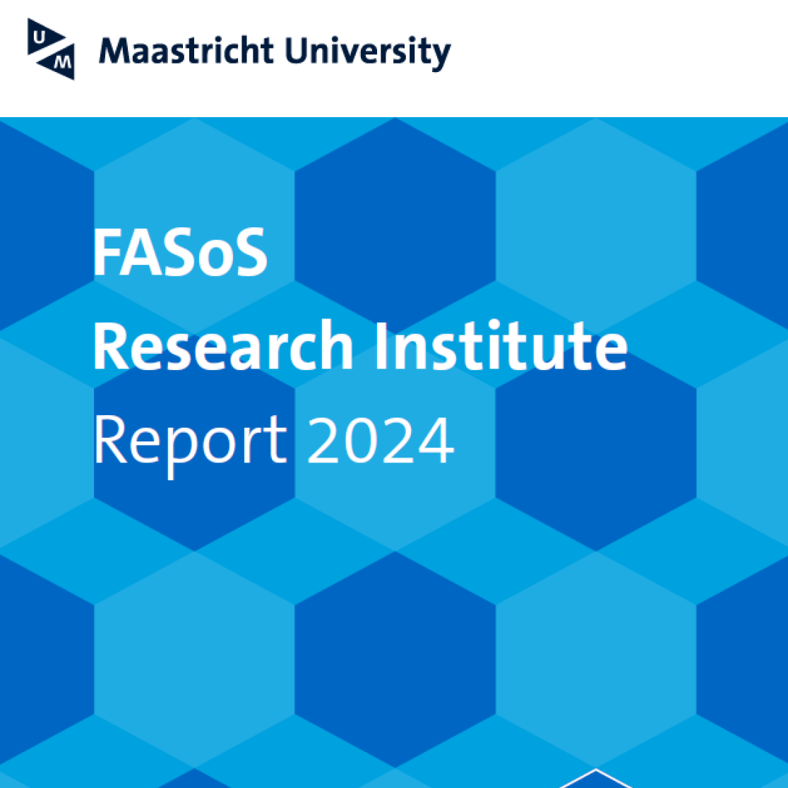 FASoS research report cover 2024