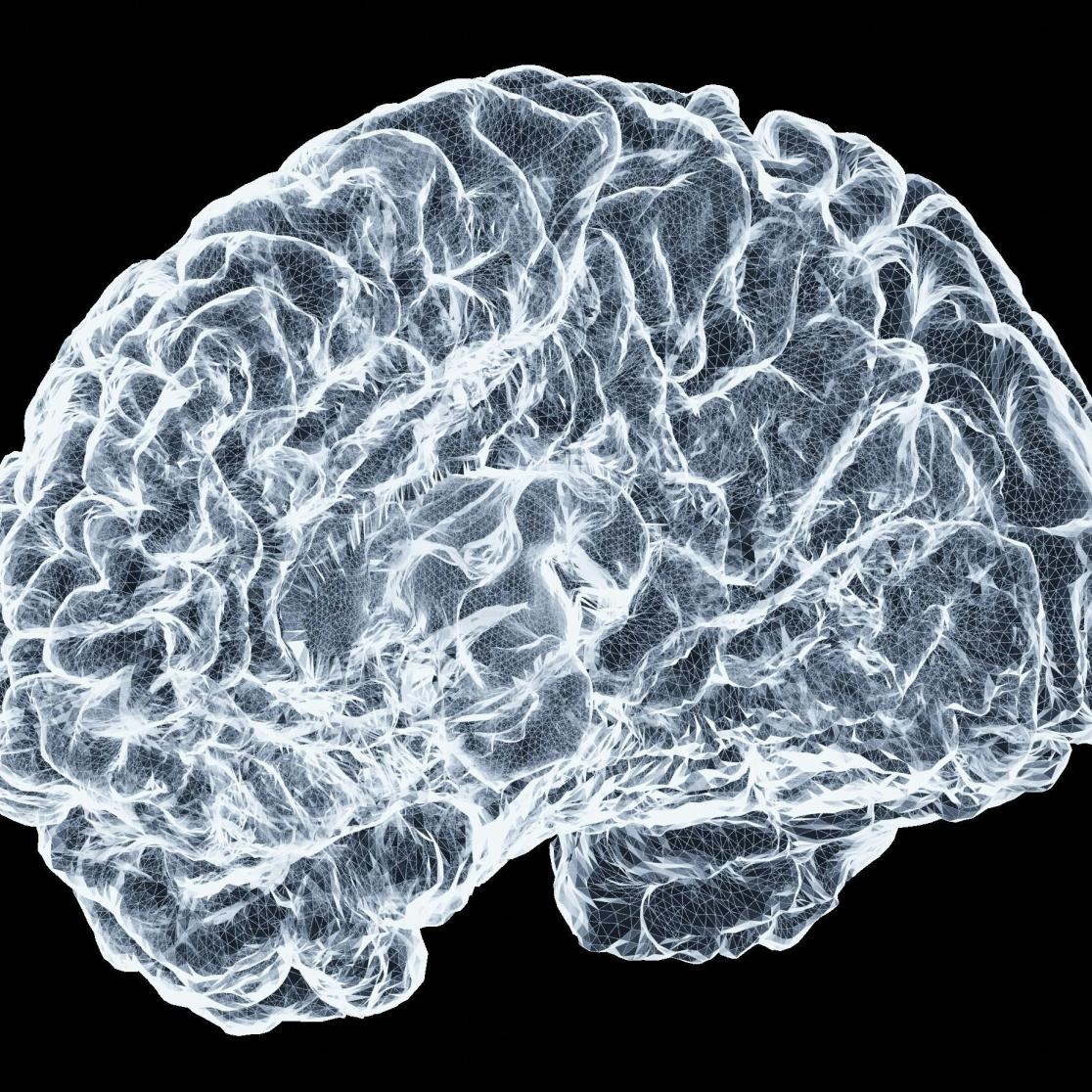 Graphic image of a brain.