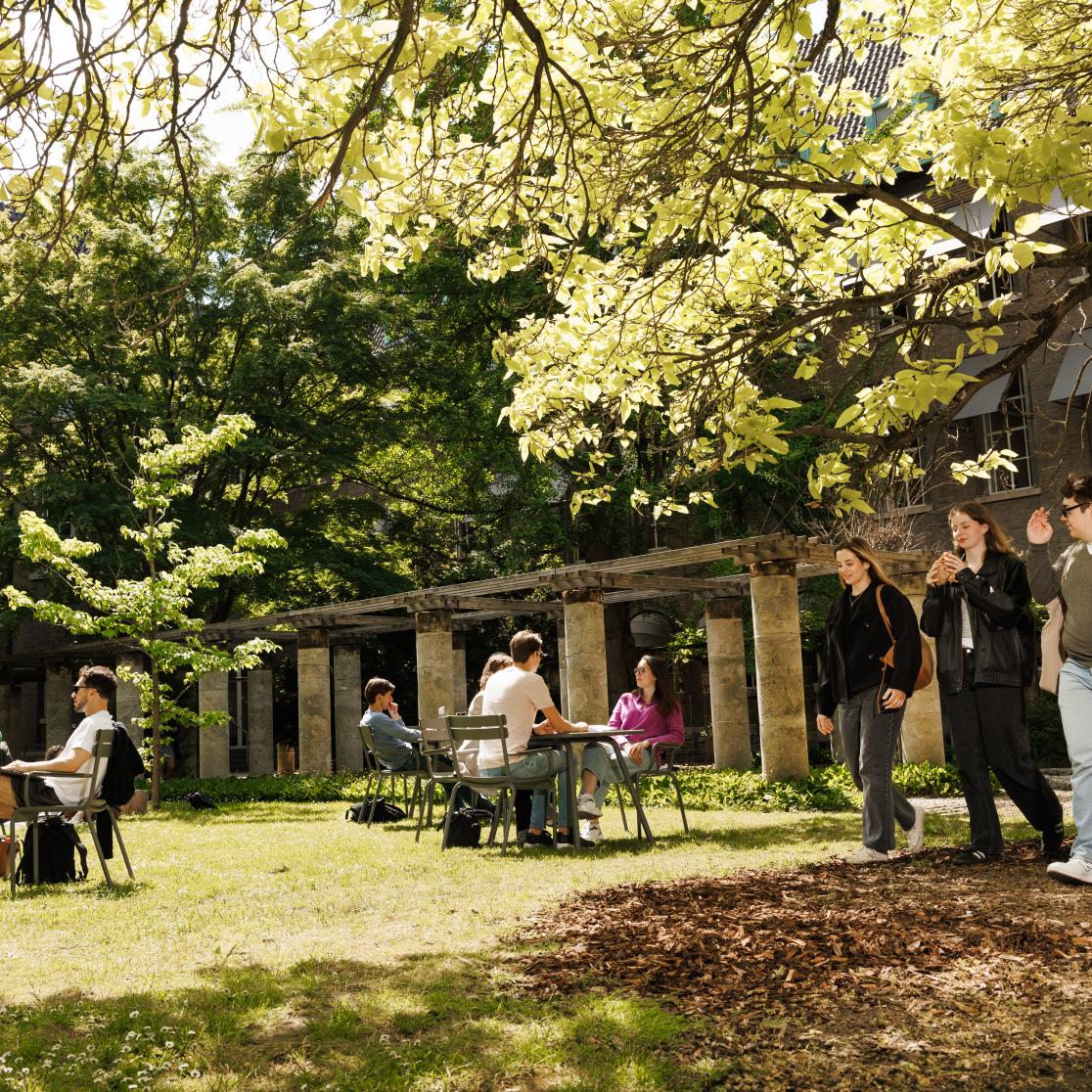 Students sitting and walking in the courtyard garden of the Faculty of Law in Maastricht on a sunny day, surrounded by greenery and historic buildings.