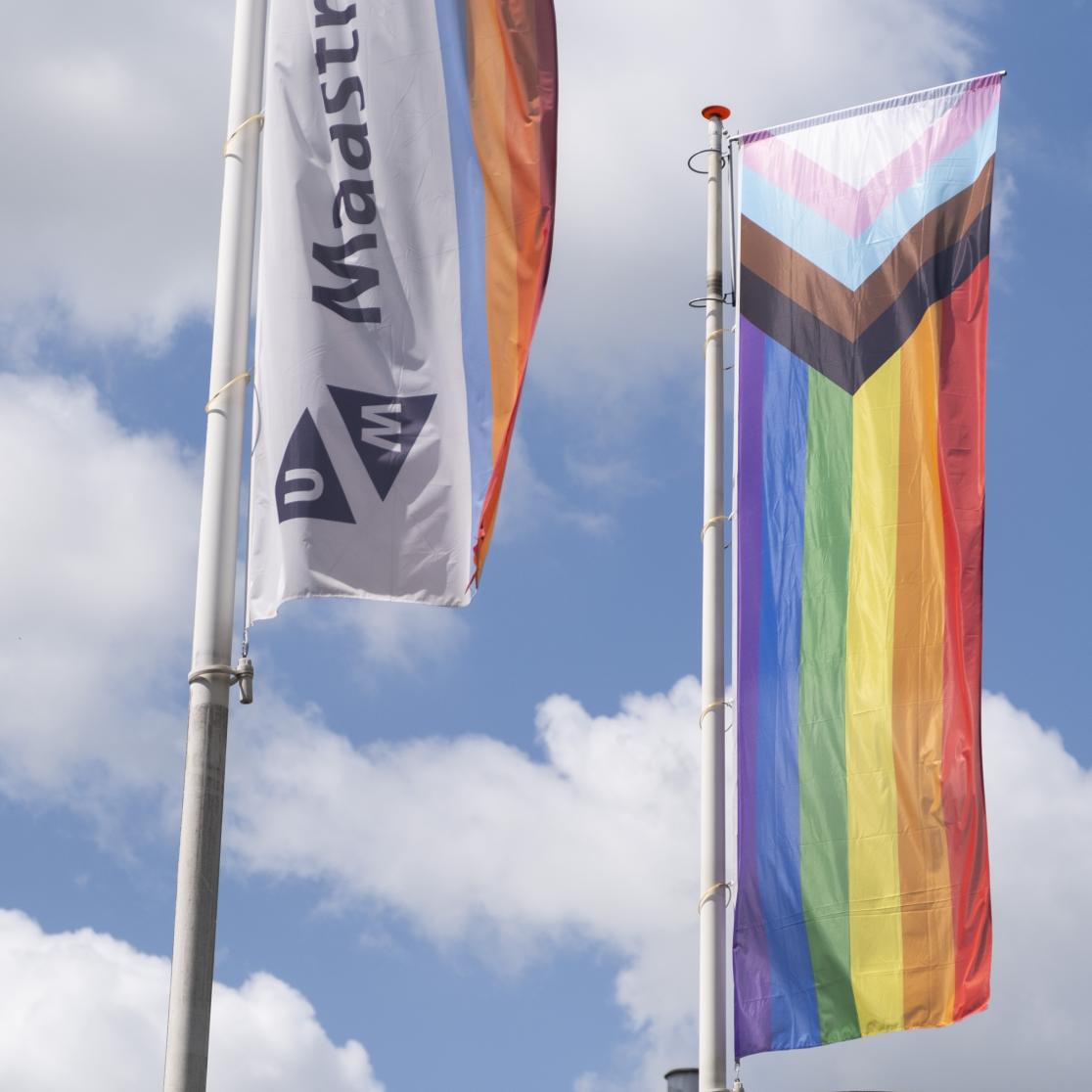The raised flag at Pride month flag raising event