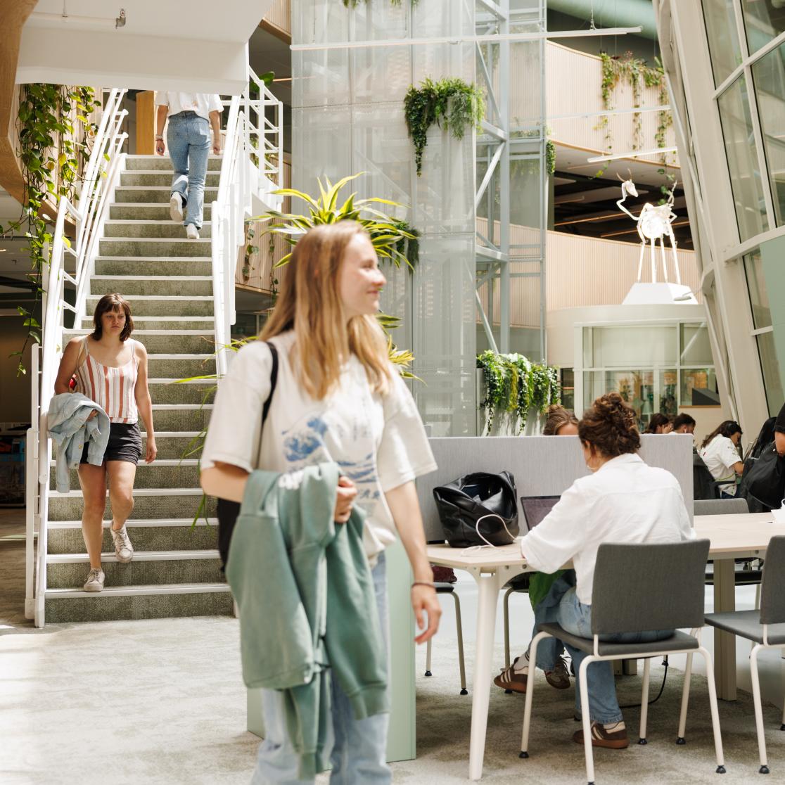 where will you study fhml