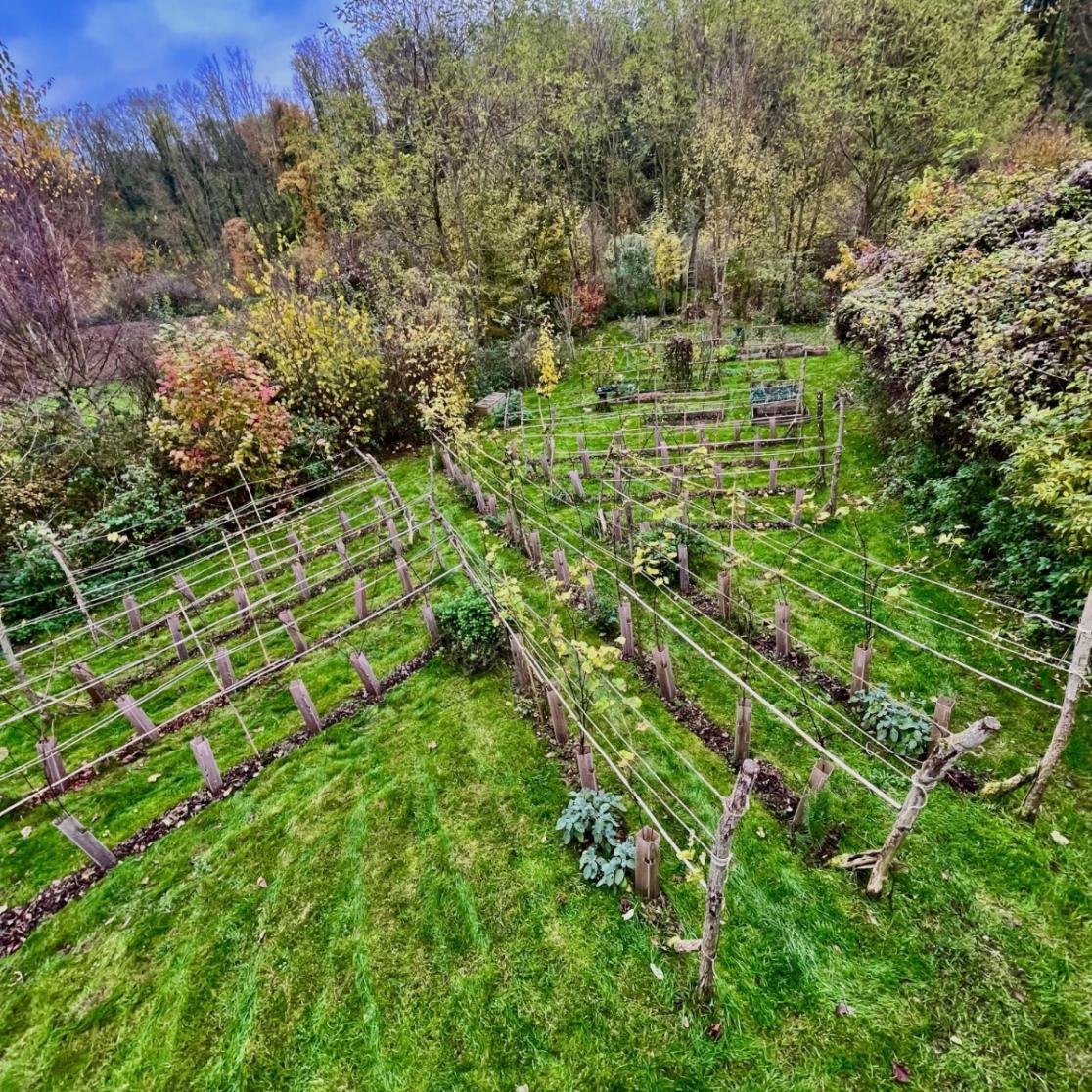 The compact food garden