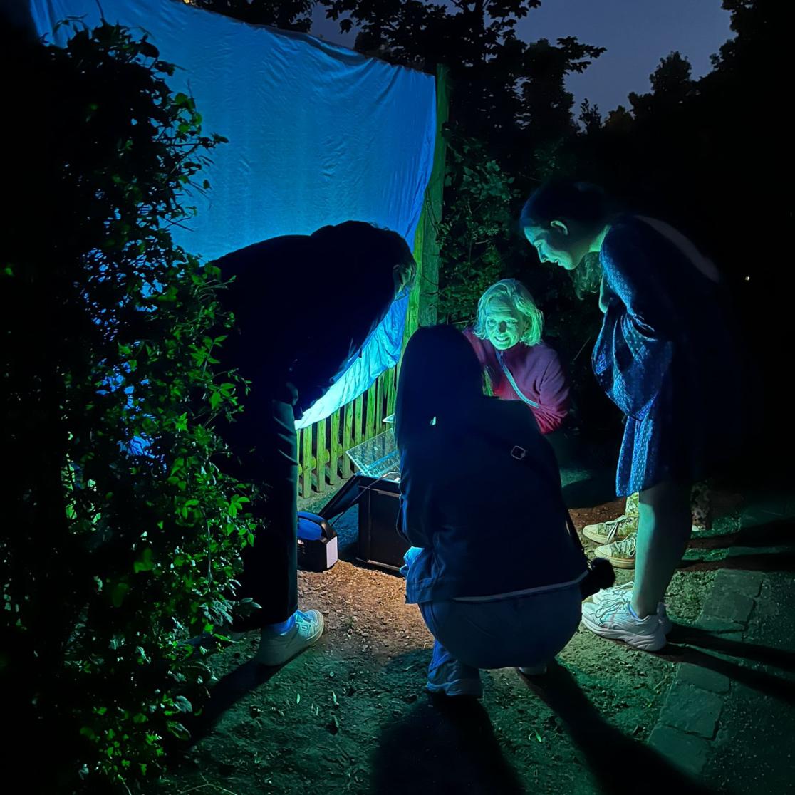 moth traps