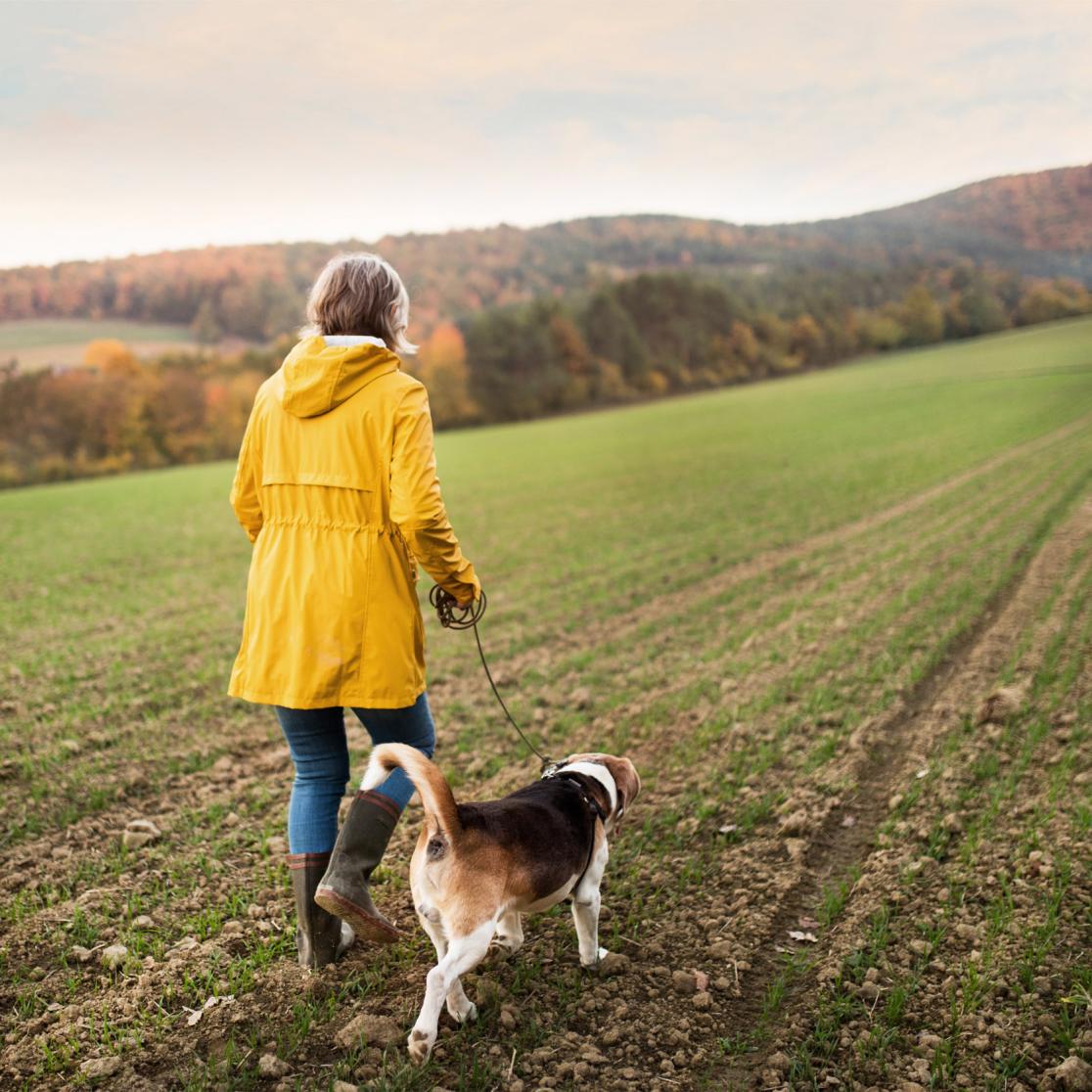 Woman walking her dog in a hilly landscape
