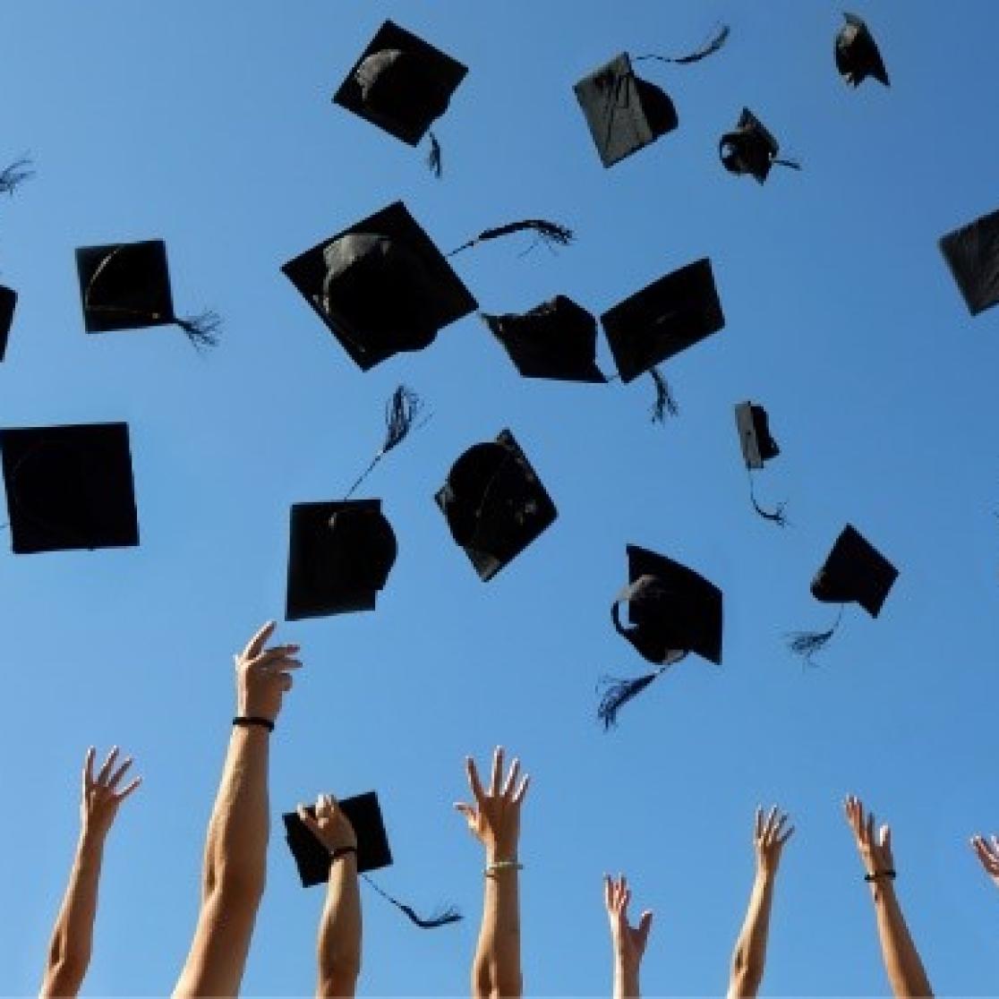 Alumni Law Picture