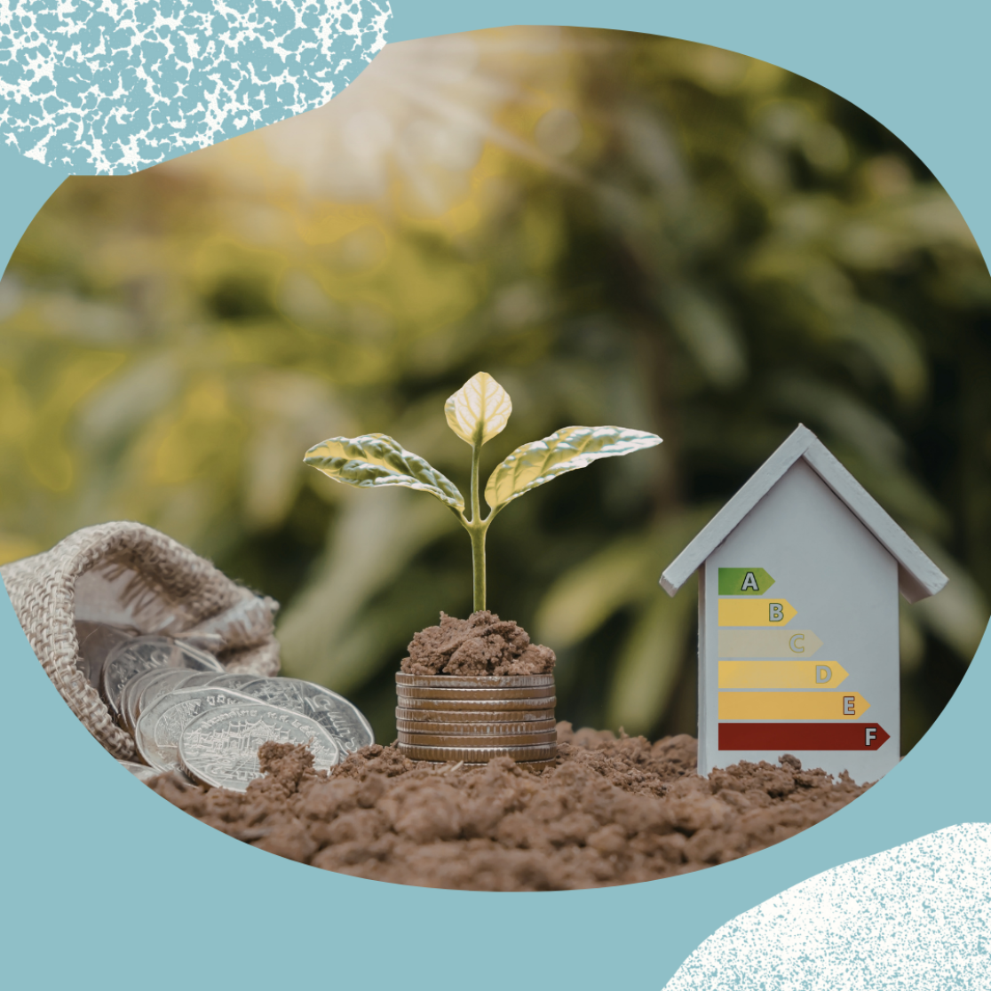 sustainability impact