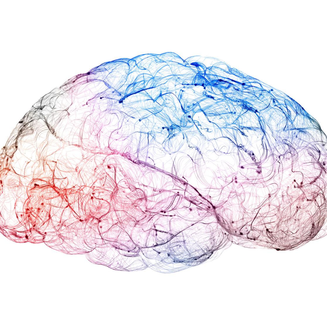 Illustration of human brain