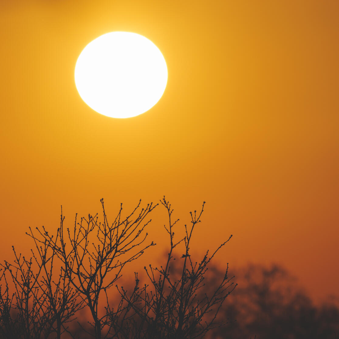 Climate Health heat