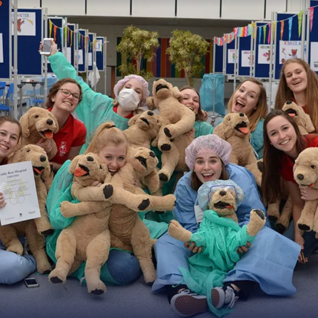 Teddy Bear hospital
