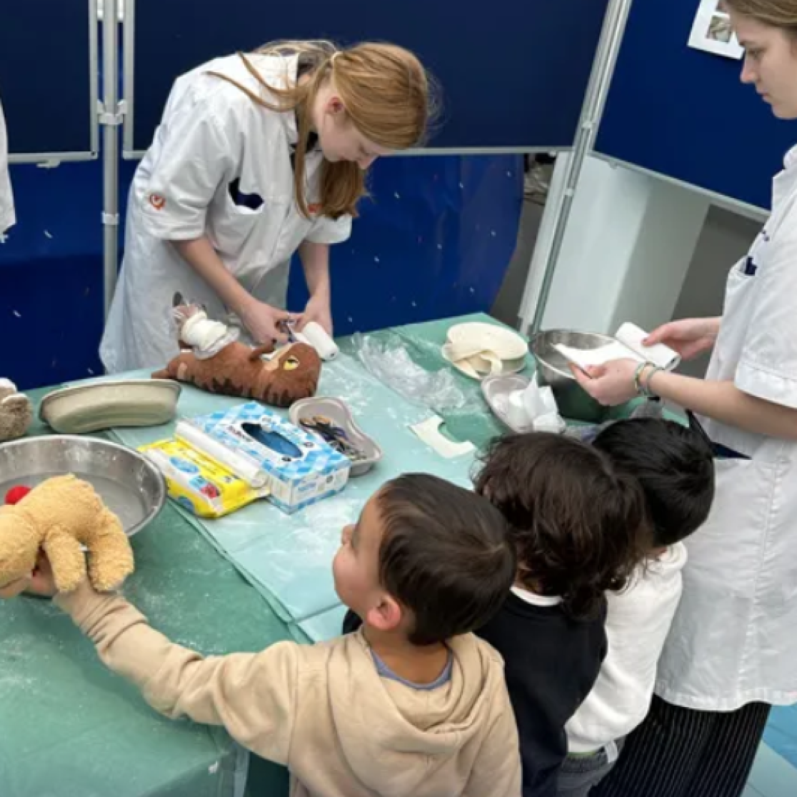Teddy bear hospital instructions