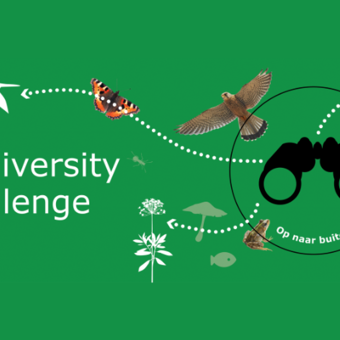 biodiversity challenge sidebox