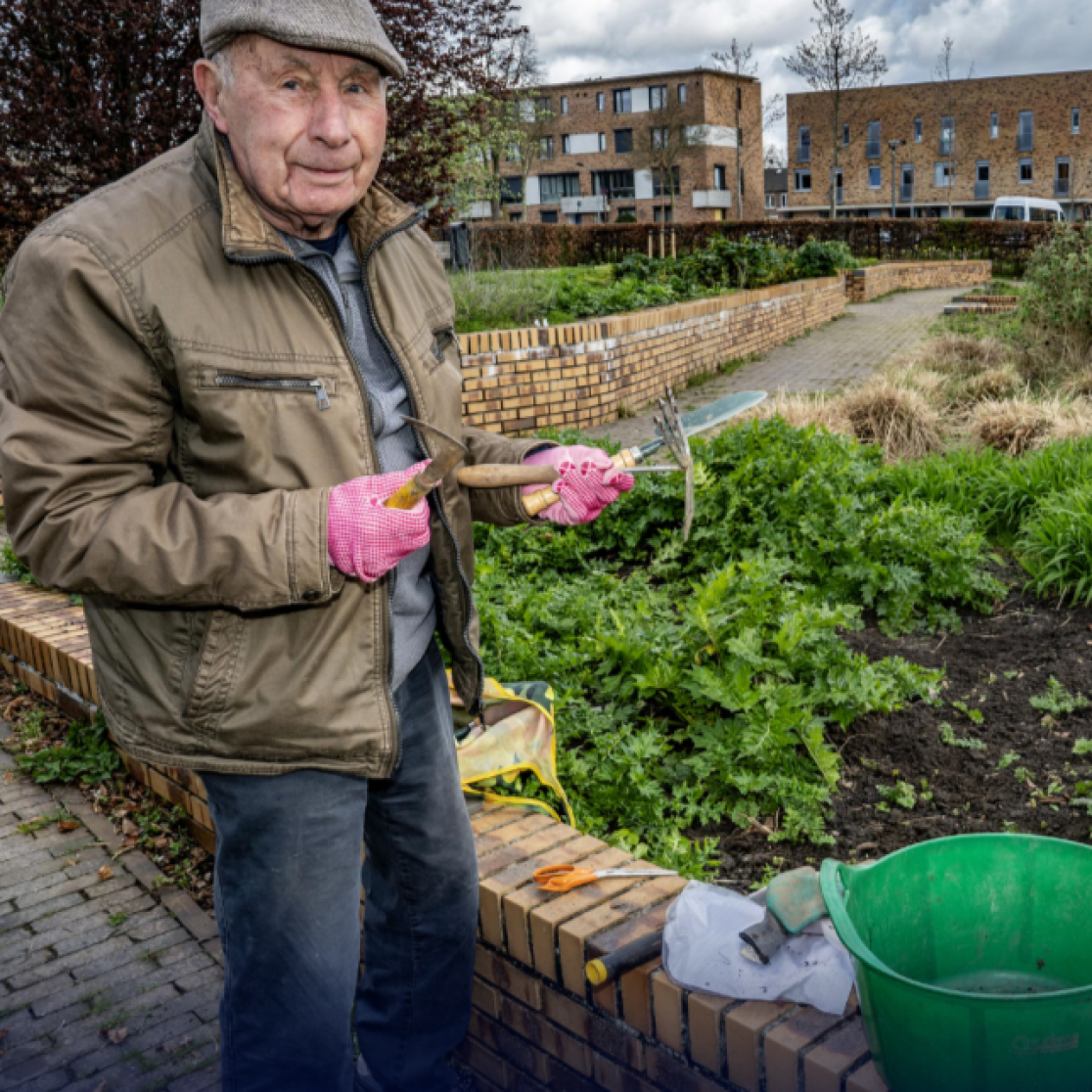A man in the garden