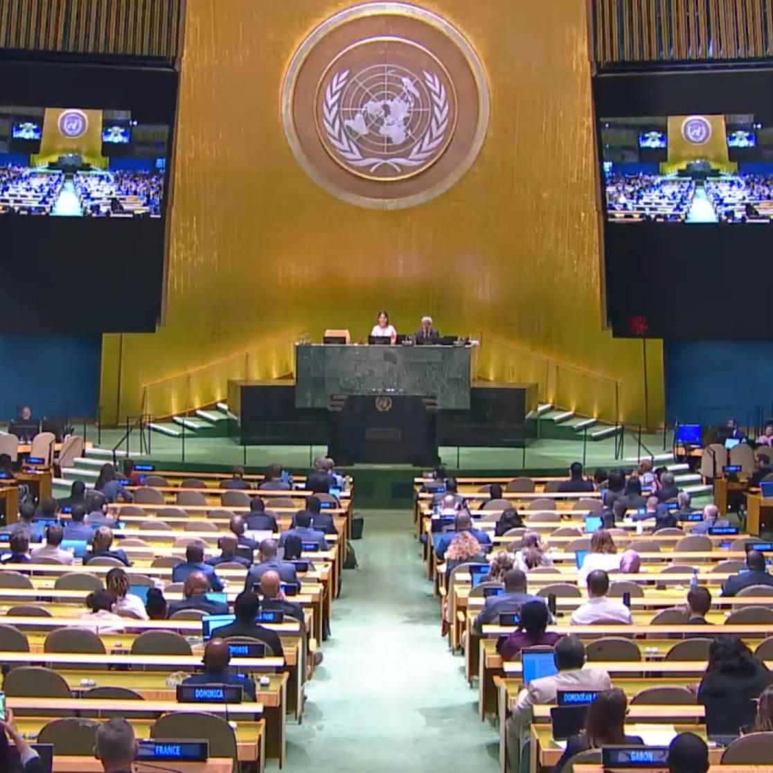 UNGA (May 2026)