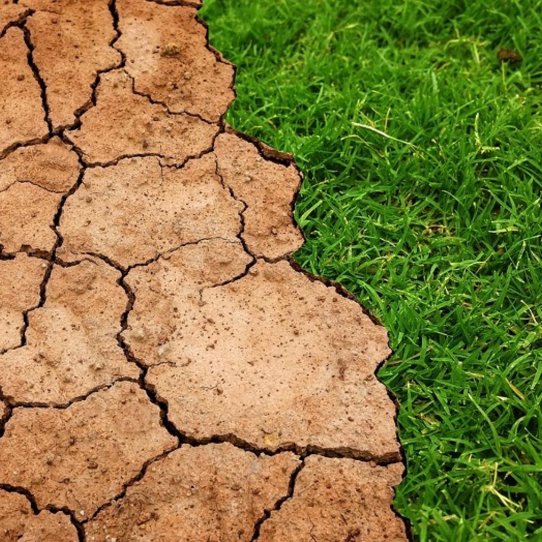 uitgedroogde grond en groen gras als metafoor voor klimaatverandering