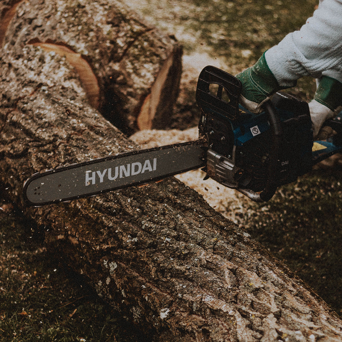 Chainsaw cutting log