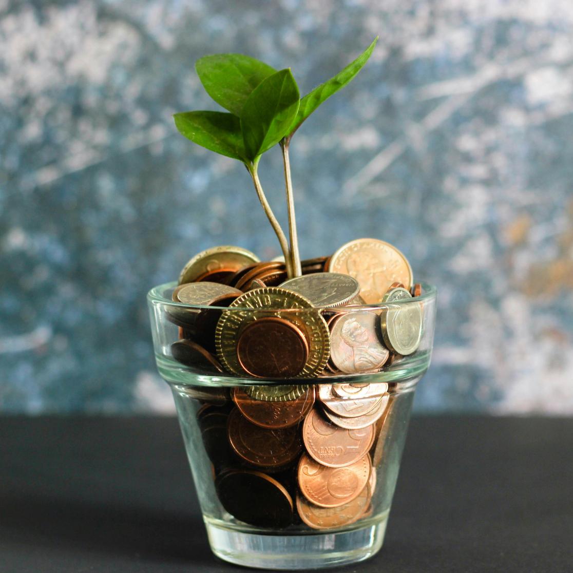 glass jar with coins a growing plant