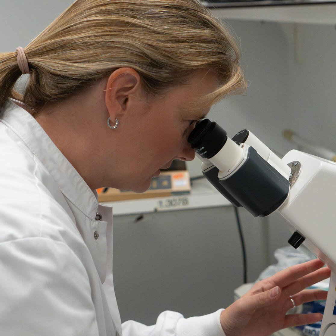 Judith Cosemans microscoop