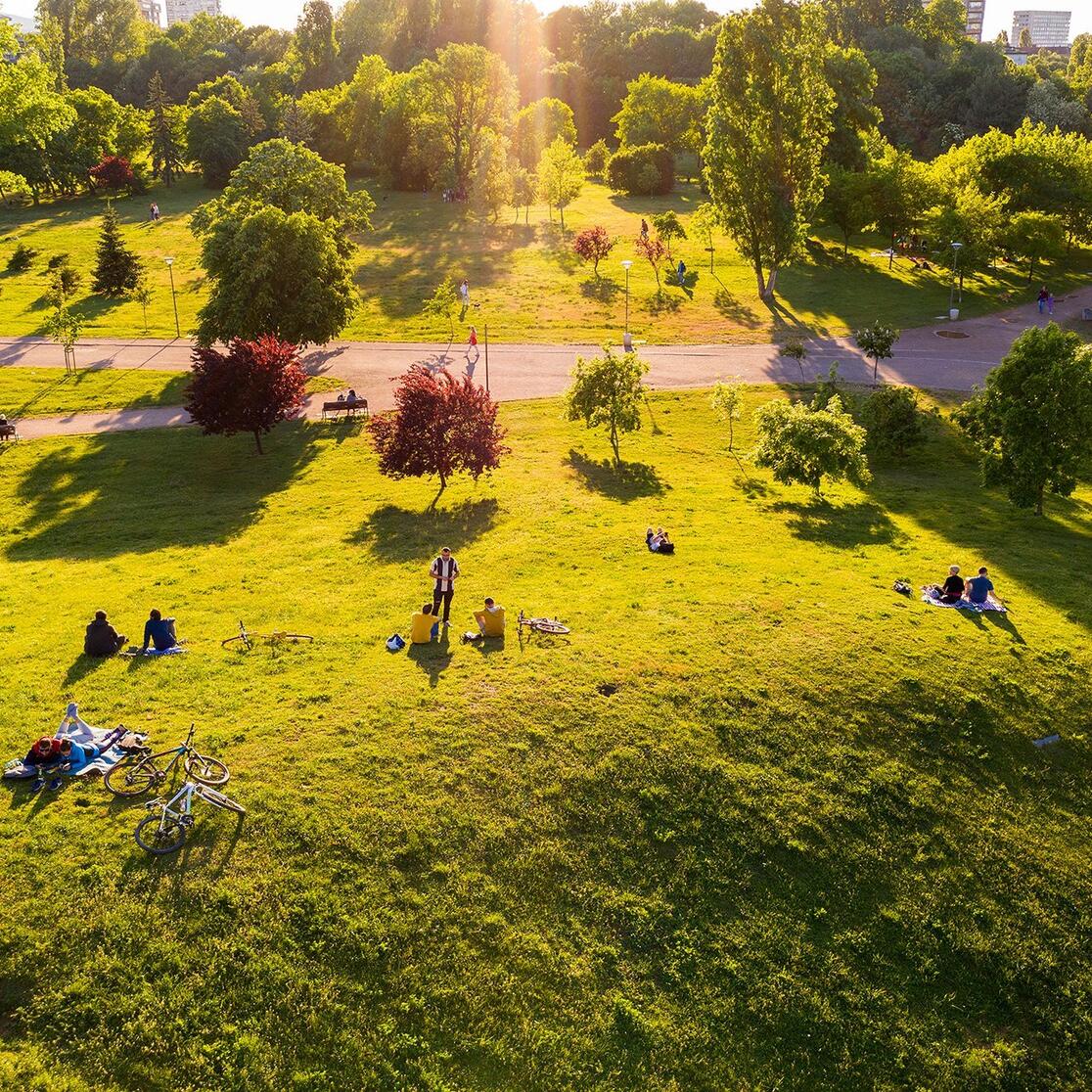 Park