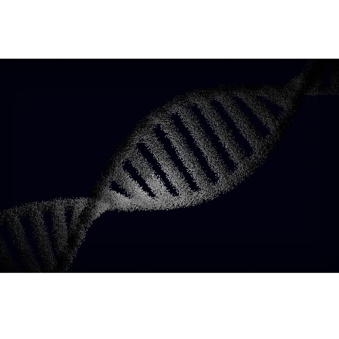 Genetics