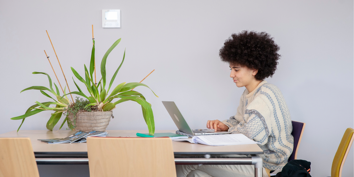 UM Academy: professional looking for courses on a laptop