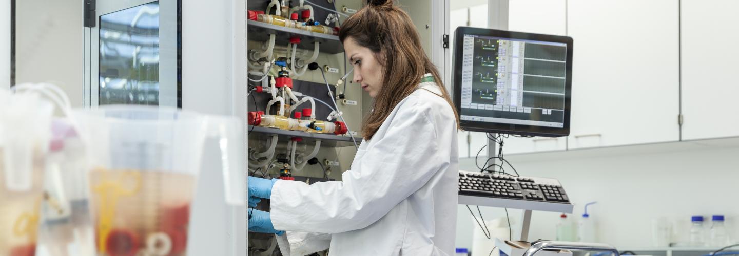 Student working in lab