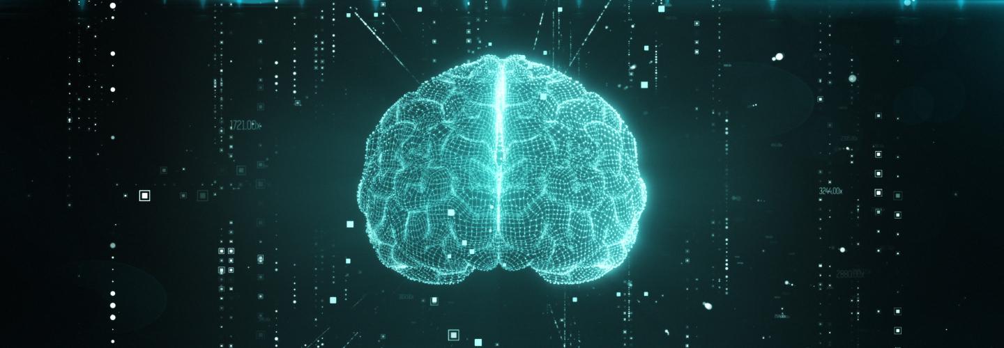 Bachelor Brain Science banner