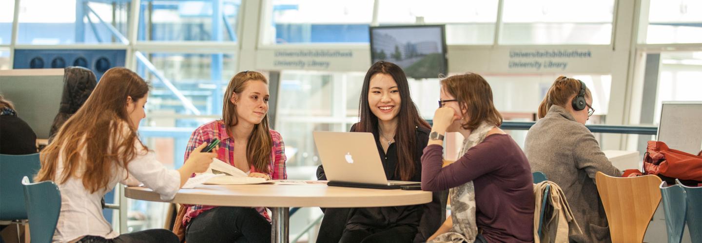 International Joint Master of Research in Work and Organizational Psychology banner oud