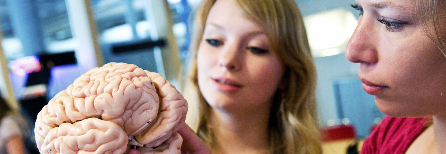 Neuropsychology header oud