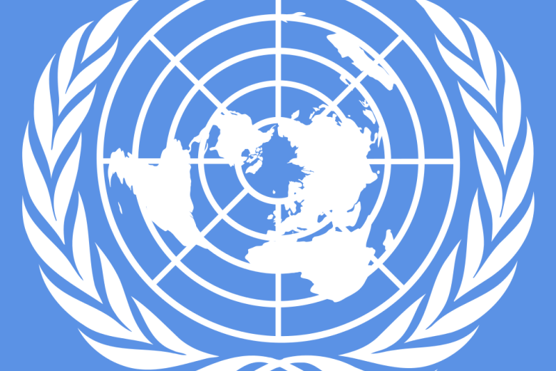 What does the UN think of EU disability policy?