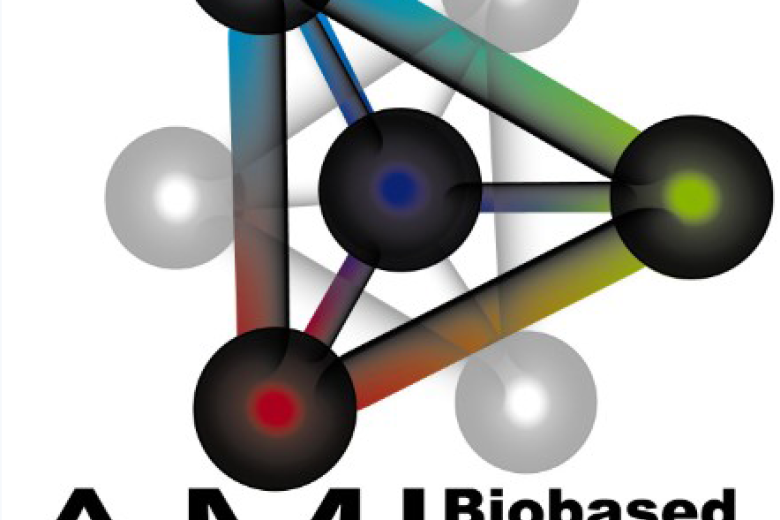 AMIBM Logo